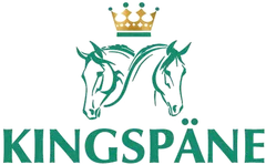 Kingspäne