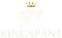 Kingspäne